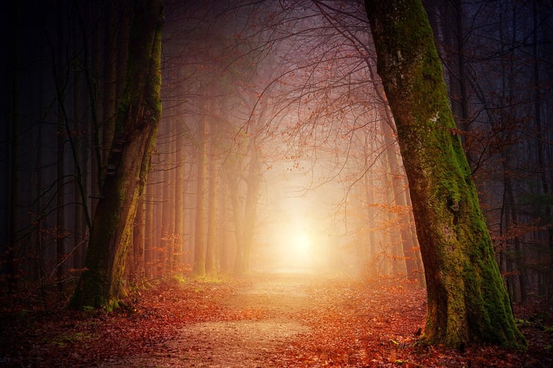 Subdued Whispers
